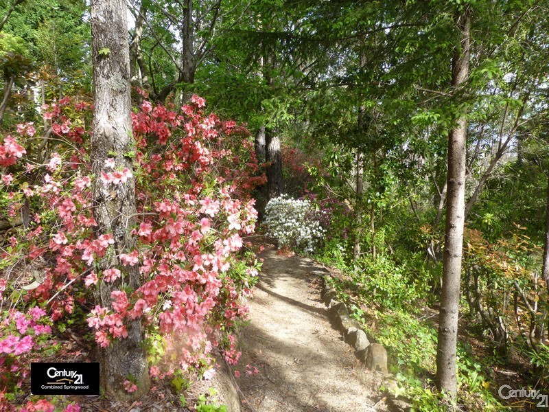 18 Lake Street, Wentworth Falls NSW 2782