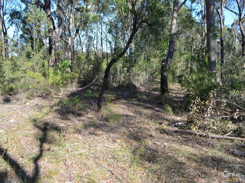 Lot 1-8 Spring Street, Springwood NSW 2777