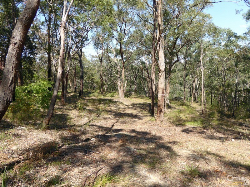 Lot 1/169 Chapman Parade, Faulconbridge NSW 2776