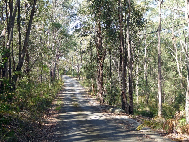 Lot 1/169 Chapman Parade, Faulconbridge NSW 2776
