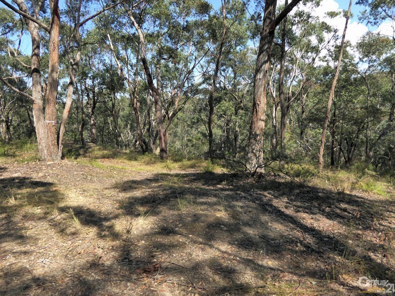 Lot 1/169 Chapman Parade, Faulconbridge NSW 2776