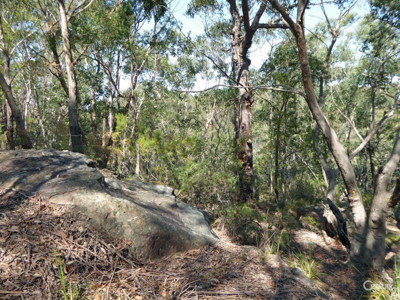 Lot 1/169 Chapman Parade, Faulconbridge NSW 2776