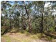 Lot 1/169 Chapman Parade, Faulconbridge NSW 2776