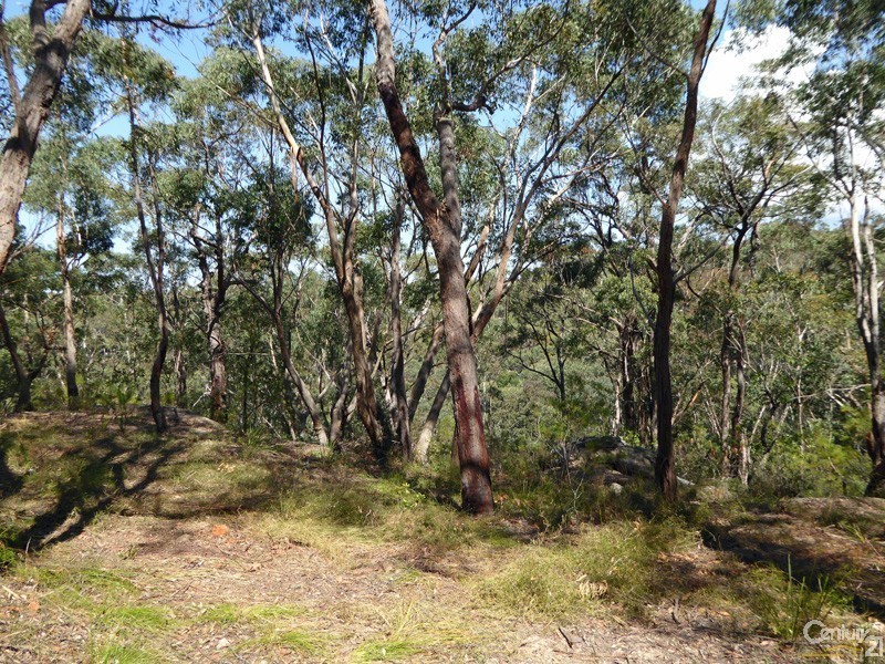 Lot 1/169 Chapman Parade, Faulconbridge NSW 2776