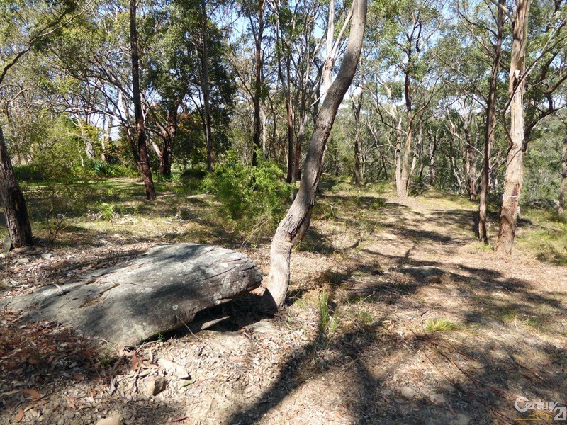 Lot 1/169 Chapman Parade, Faulconbridge NSW 2776