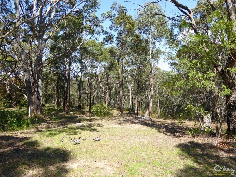 Lot 1/169 Chapman Parade, Faulconbridge NSW 2776