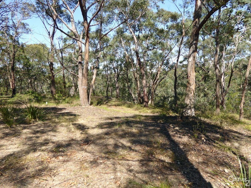 Lot 1/169 Chapman Parade, Faulconbridge NSW 2776