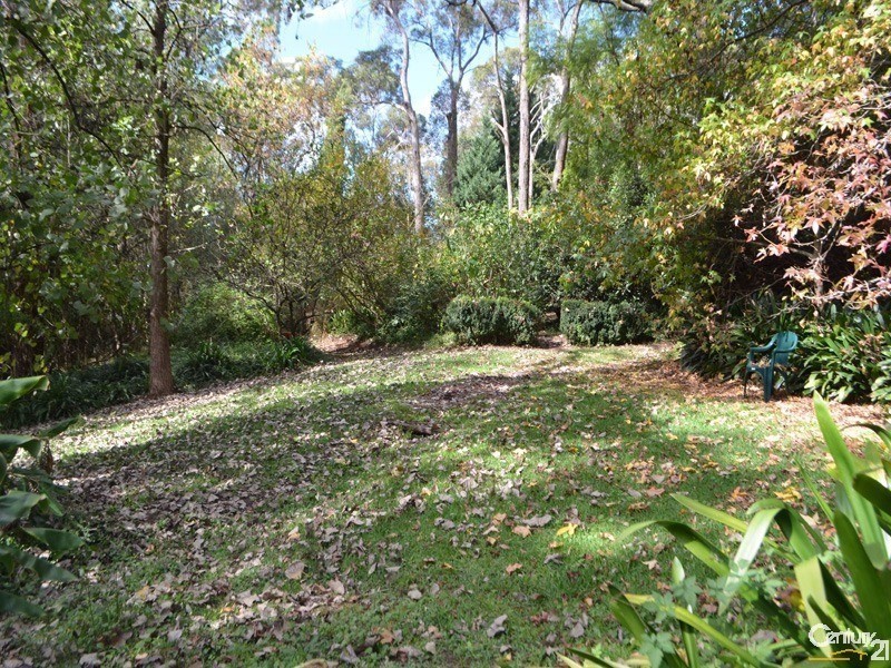 Springwood NSW 2777