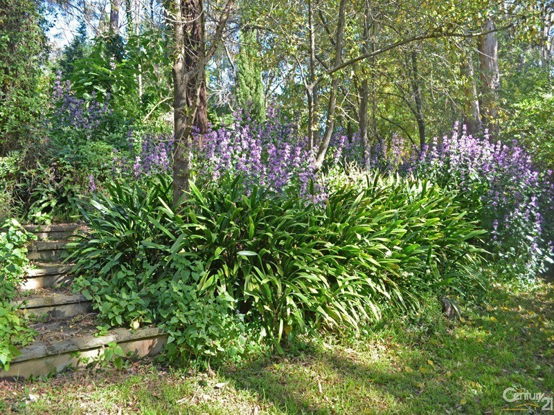 16 Ellison Road, Springwood NSW 2777