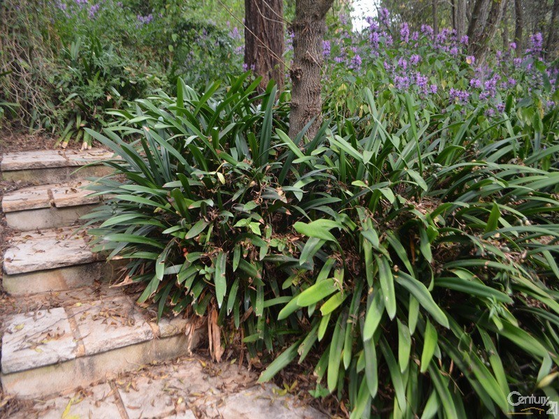 16 Ellison Road, Springwood NSW 2777