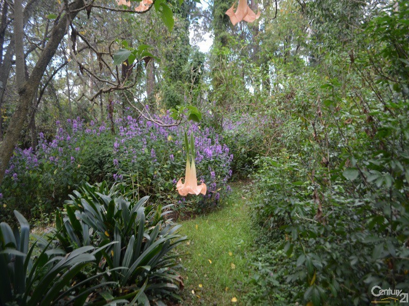 16 Ellison Road, Springwood NSW 2777