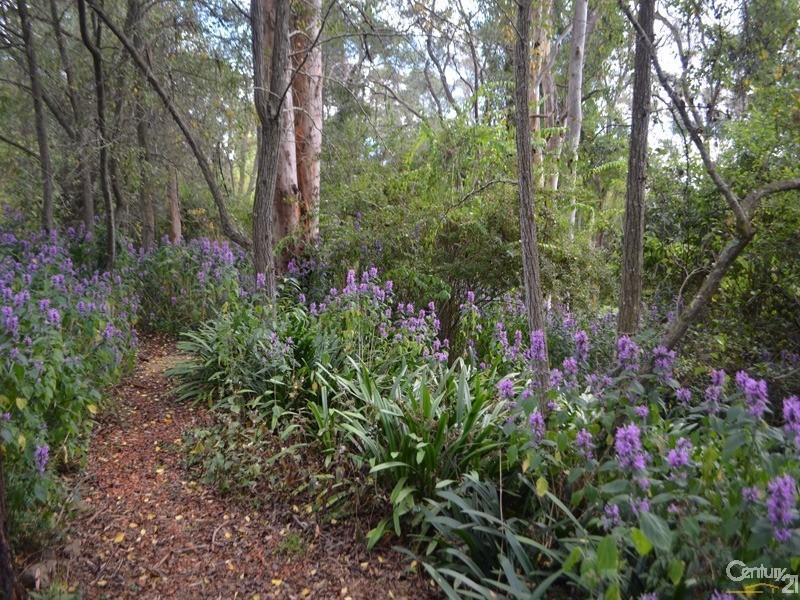 16 Ellison Road, Springwood NSW 2777