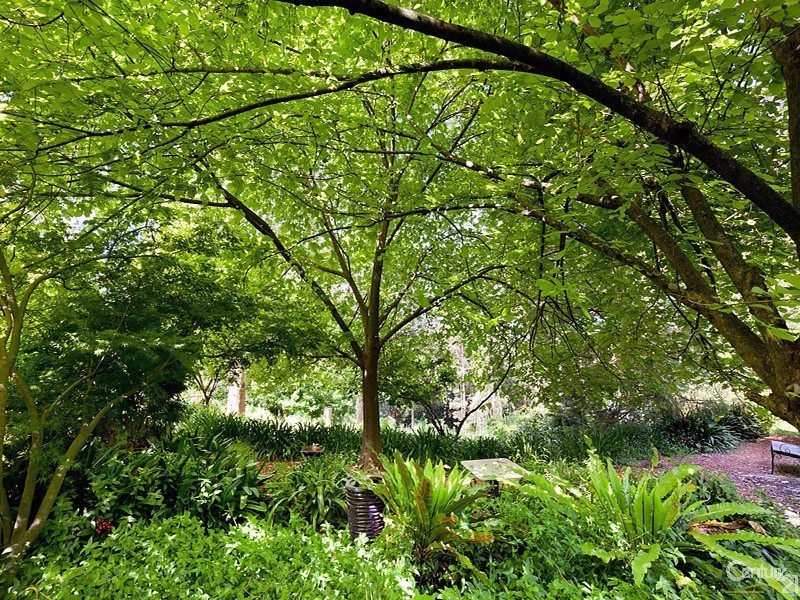 16 Ellison Road, Springwood NSW 2777