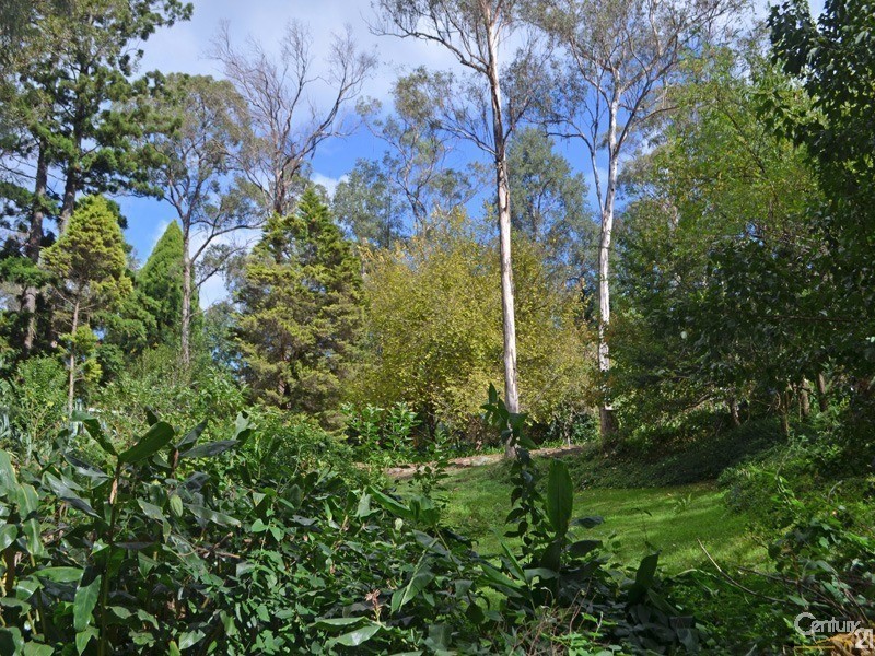 16 Ellison Road, Springwood NSW 2777