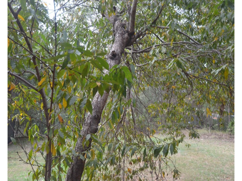 3a Roberts Pde, Hawkesbury Heights NSW 2777