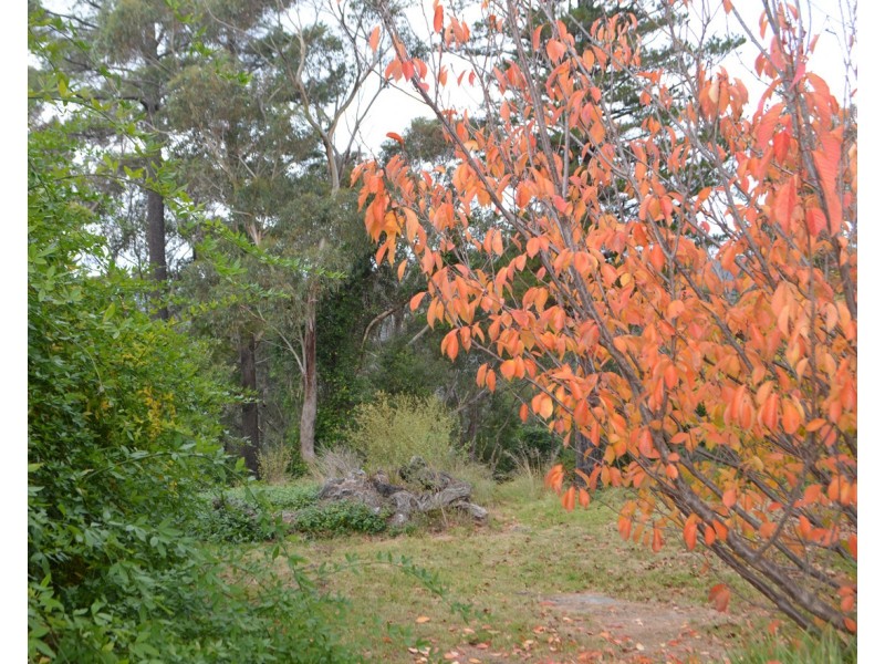 783 Great Western Highway, Linden NSW 2778