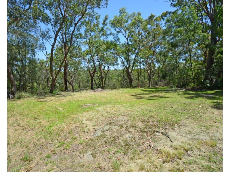 17 Edna Avenue, Springwood NSW 2777