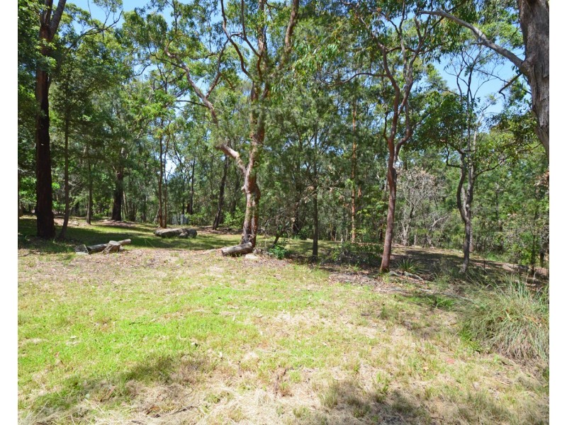 17 Edna Avenue, Springwood NSW 2777