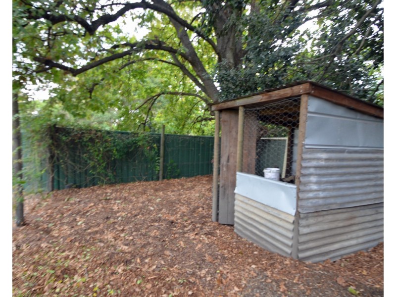 20 Clifton Ave, Faulconbridge NSW 2776