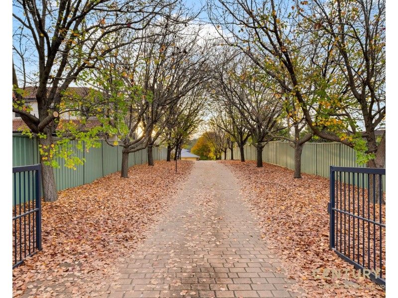 8a Coramandel Ave, Winmalee NSW 2777