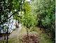 Blackheath NSW 2785