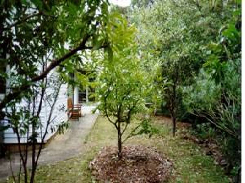 Blackheath NSW 2785