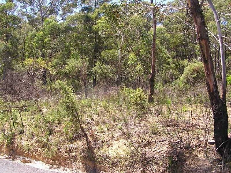 Lot 41 Valley View Road, Dargan NSW 2786