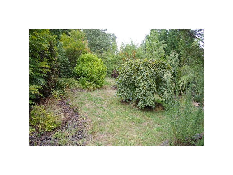 21 Carrington Ave, Mount Victoria NSW 2786