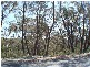 43 Godson Avenue, Blackheath NSW 2785