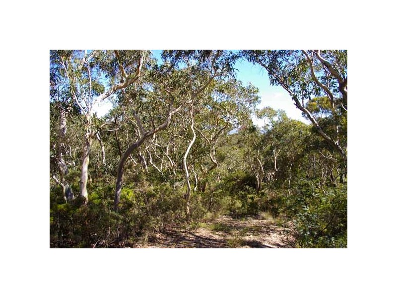 93 Old Shipley Rd, Blackheath NSW 2785