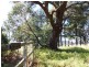 Megalong NSW 2785