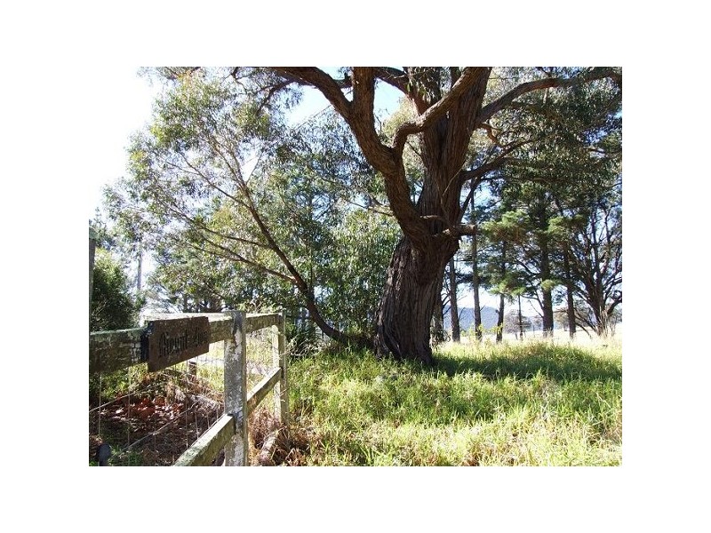 Megalong NSW 2785
