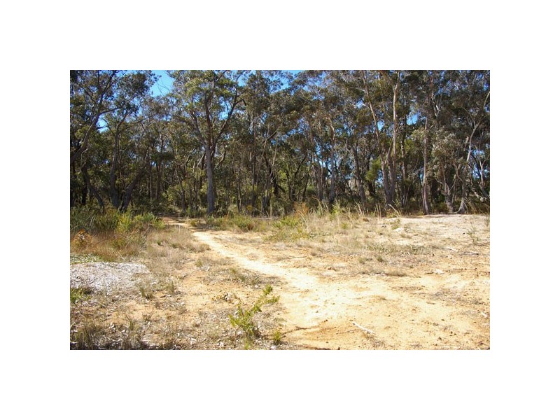 40 Seiberi Close, Blackheath NSW 2785