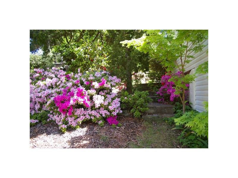 Mount Victoria NSW 2786