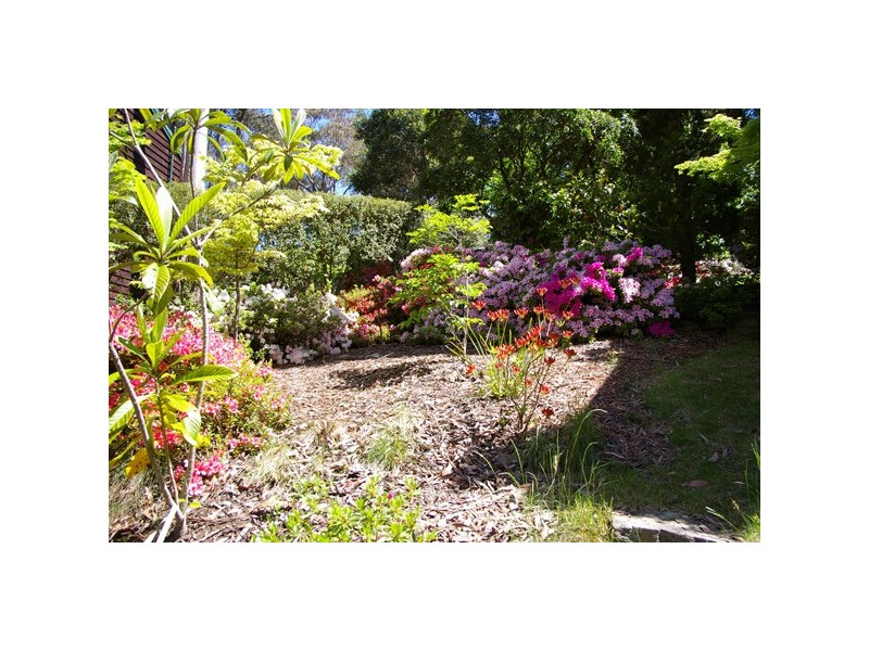 Mount Victoria NSW 2786
