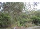 152 Victoria St, Mount Victoria NSW 2786