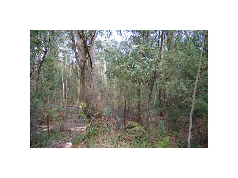 17 Rutland Rd, Medlow Bath NSW 2780