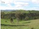1667 Ganbenang Rd, Ganbenang NSW 2790