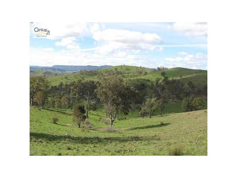 1667 Ganbenang Rd, Ganbenang NSW 2790