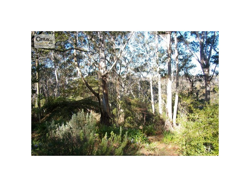 Blackheath NSW 2785
