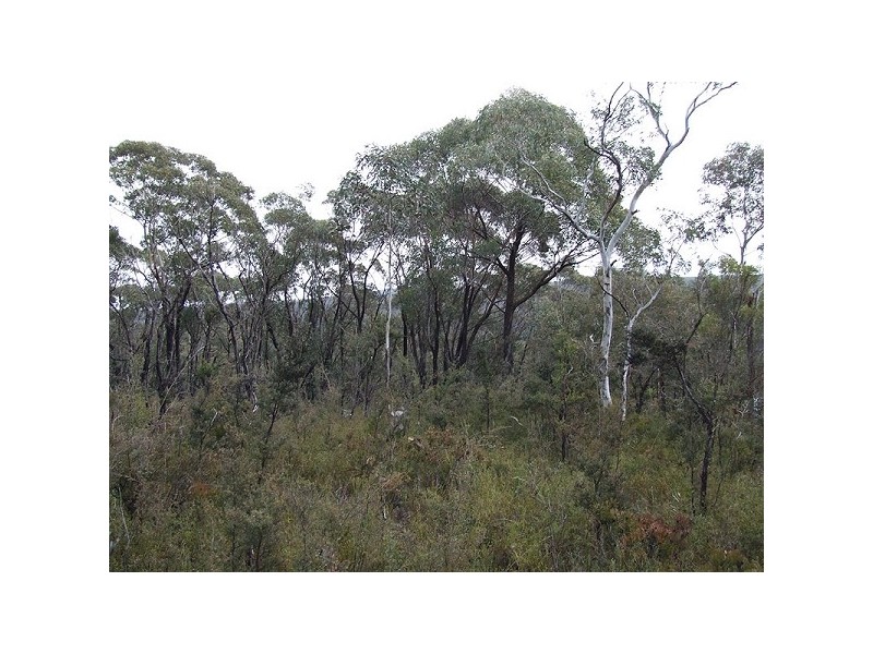 339 Chifley Rd, Dargan NSW 2786