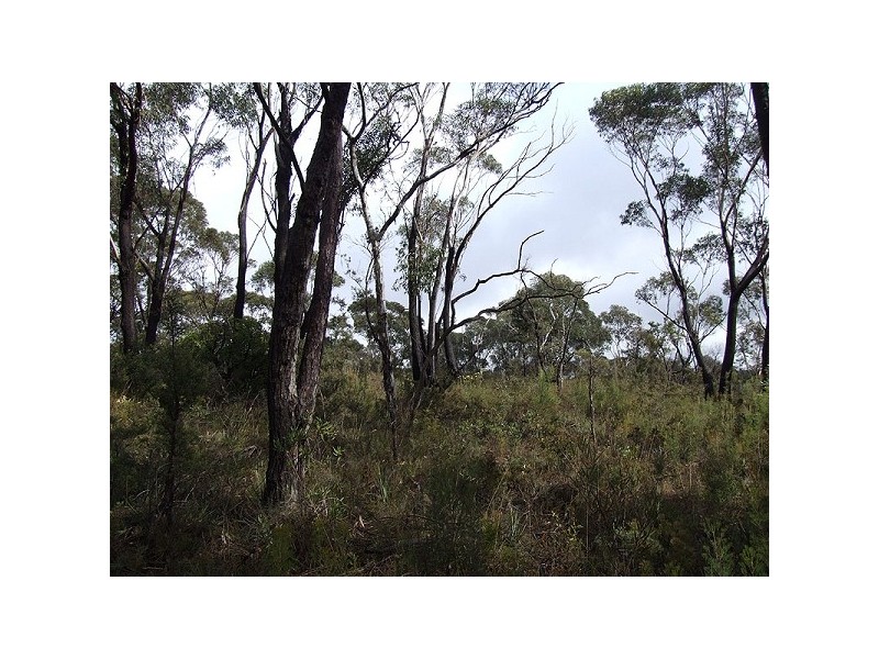 339 Chifley Rd, Dargan NSW 2786