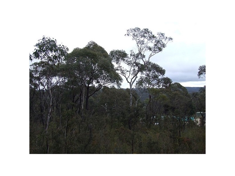 339 Chifley Rd, Dargan NSW 2786