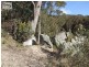 6 Bursaria Place, South Bowenfels NSW 2790