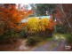 Blackheath NSW 2785