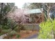 Blackheath NSW 2785