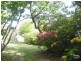 Blackheath NSW 2785