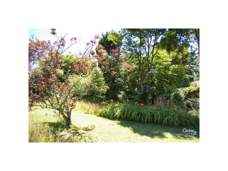8 Bell St, Blackheath NSW 2785