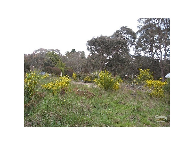 4 Mt Piddington Rd, Mount Victoria NSW 2786