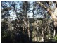 11 Lawrence St, Blackheath NSW 2785